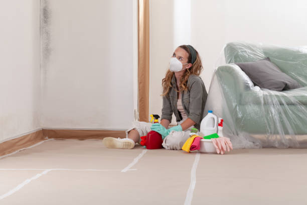 Reliable Mold Testing contractor in Frederick, CO by WQB Mold Removal